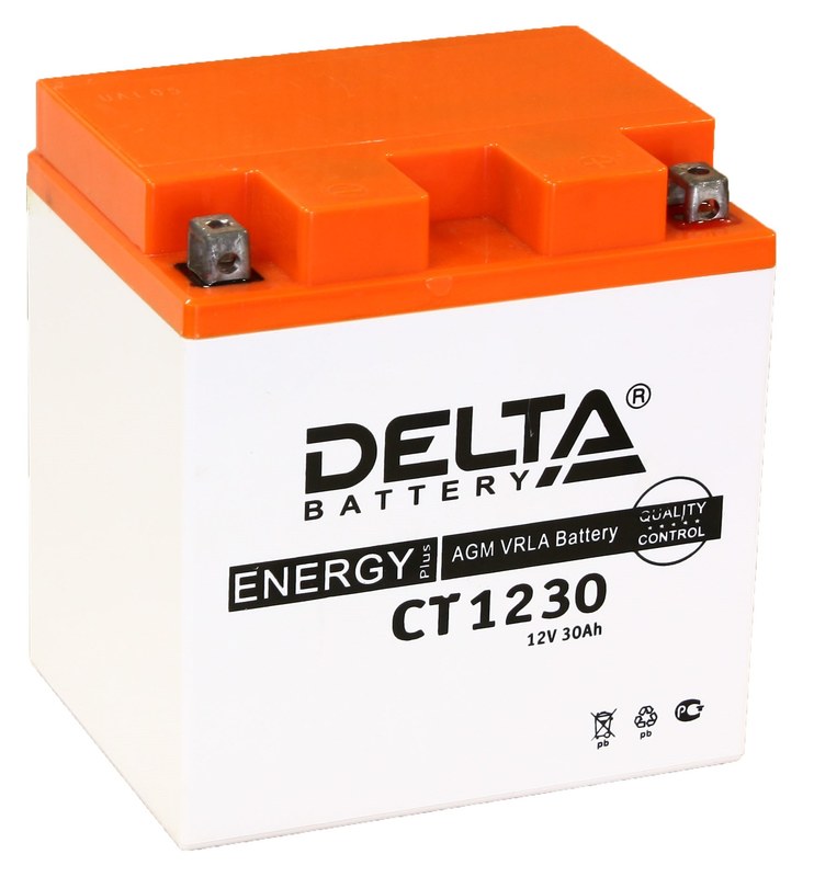  Delta CT CT 1230 (YTX30L, YB30L-B) (CT 1230)                              30ah 12V -    
